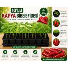 Mera Çiçekçilik Kapya Biber Fidesi 10 Adet