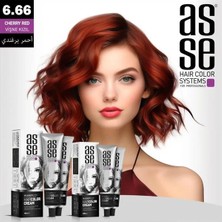 Asse Tüp Boya 60ML. 6-66 Vişne Kızıl