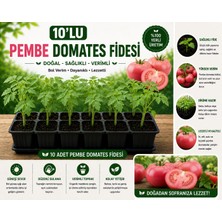 Mera Çiçekçilik Pembe Domates Fidesi 10 Adet