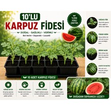 Mera Çiçekçilik Karpuz Fidesi 10 Adet