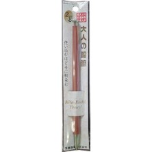 Kitaboshi 2.0 mm Mekanik Uçlu Kalem OTP-580N