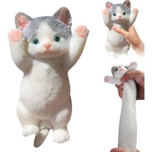 20 cm Patili Kedi Sukuşi