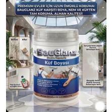 Bauglanz Profesyonel Anti-Mold Küf ve Rutubet Önleyici Boya 1.5 KG -