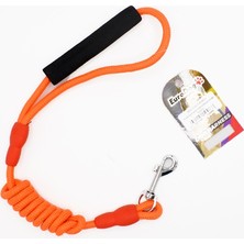 Euro Dog Semeglbl Eurodog Köpek Uzatma 8MMX120CM Turuncu