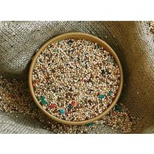 Petshop Açık Karışık Muhabbet Kuşu Yemi 500 gr