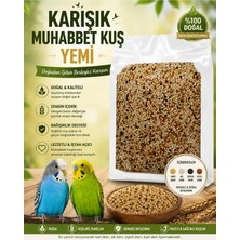 Bade Shop Muhabbet Kuşu Için Karışık Darı Yemi 500 gr - Sarı, Ak, Siyah ve Kızıl Darı