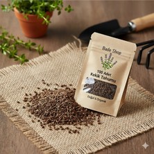 Bade Shop 100 Adet Kekik Tohumu | Tıbbi Aromatik Bitki Tohumları | Doğal Kekik Bitkisi Tohumu