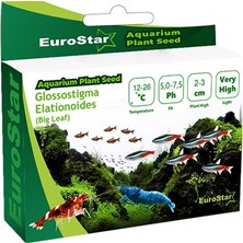 Semeglbl Euro Bitki Tohum Glossostigma Elatinoides