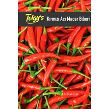Kırmızı Acı Macar Biberi Tohumu / 20+ Adet Tohumu
