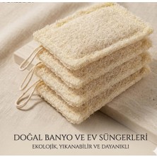 Tamarix Doğal Kabak Lifi Bulaşık Süngeri 4'lü Paket