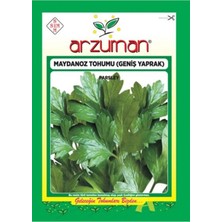 Arzuman Sebze Geniş Yaprak Maydonoz Tohumu 25 gr