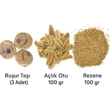 Bade Shop Doğal Ruşur Taşı (3 Adet) + 100 gr Açlık Otu + 100 gr Rezene – Cilt Bakımı ve Bitkisel Detoks Seti