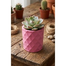 N Noxxo Beton Saksı - El Yapımı Geometrik Pembe Mini Sukulent ve Kaktüs Saksısı