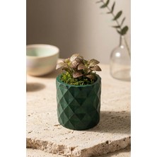 N Noxxo Yeşil Beton Saksı: El Yapımı Mini Sukulent ve Kaktüs Saksısı (6x7 Cm)