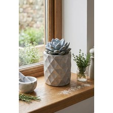 N Noxxo Gümüş Renk Dekoratif Beton Saksı - Mini Sukulent ve Kaktüs Saksısı 6X7CM