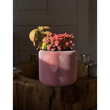 Ru Collection Pembe Kalpli Dekoratif Saksı Sert Plastik