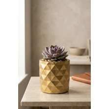 N Noxxo Mini Beton Saksı | Soft Gold Dekoratif Sukulent ve Kaktüs Saksısı