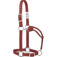35-7375-GH Orijinal Ayarlanabilir Naylon Halter Krom Kaplama Donanım, Grafit, 2,54 cm Ortalama At
