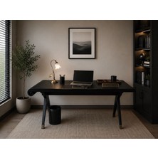 Umela Home Çalışma
