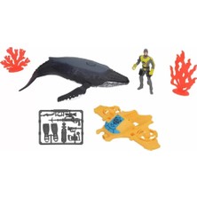 Mrs- Wild Quest Surf Balina Araştırma Oyun Seti -548484