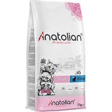 TKÇ Premium Tavuklu Yavru Kedi Maması 2 kg