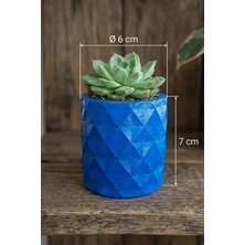 N Noxxo Mavi Beton Saksı - Dekoratif Mini Sukulent ve Kaktüs Saksısı 6X7CM