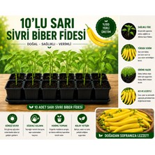 Mera Çiçekçilik Sarı Sivri Biber Fidesi 10 Adet