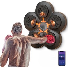 Ozcmax Müzikli Boks Makinessi