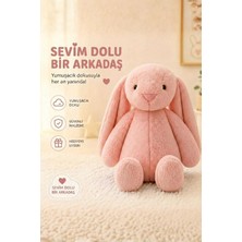 Sole Uyku Arkadaşım Uzun Kulak Bunny Peluş Tavşan 65 cm