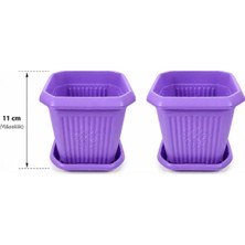 Güzelyüz Avm 2 Adet Kare Saksı Seti | Mor Renk Tabaklı Saksı Seti 1 Litre 150X150X110MM No:1