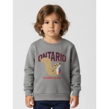 Alg ERKEK ÇOCUK SWEATSHIRT - 3 İP ŞARDONLU NAKIŞ İŞLEMELİ (Bir Beden Büyük Önerilir)