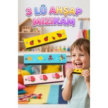 Farbu Oyuncak 3'lü Ahşap Çocuk Mızıka Seti! 16 Delikli 12CM Renkli Eğitici Ahşap Oyuncak Müzik Aleti Mızıka