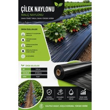 Hhbb Çilek Malç Noylonu Eni 120CM Boy 20 Metre 20 Micron