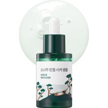 Roundlab Calming Cica Ampoule Yüz Ampulü 30 ml