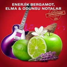 Old Spice Rockstar Erkek Deodorant Stick 50 ml