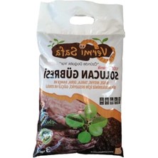 Hakay Doğal ve Organik 3kg Katı Solucan Gübresi, Bahçe ve Bitki Gelişimi Için Uygun