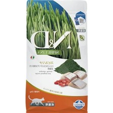 Hakay Herring Aromalı Yetişkin Kedi Maması 1,5 Kg, Lezzetli Seçenek