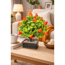 Eng Parti Dünyası Dekoratif Saksılı Nar Yapay Ağaç (Bonsai Form)