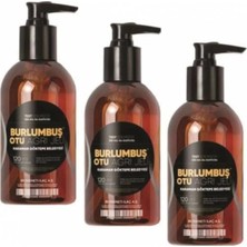 Ekobox Süper Burlumbuş Otu Doğal Jel 120 ml 3 Kutu Birden
