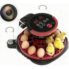 Akıllı Kameralı Kuluçka Makinesi - 12'li