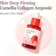 Roundlab Camellia Deep Collagen Firming Ampoule Yüz Ampulü 30 ml