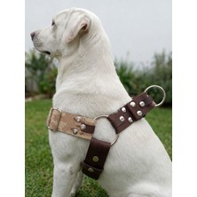 Balkonda Köpek Göğüs Tasması Büyük & Dev Irk Ayarlamalı 4 cm Genişlik Kolon Kordon Kahverengi & Kamuflaj