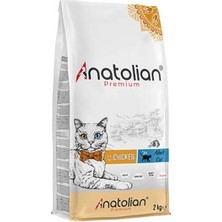 Erdo Ticaret Premium Tavuklu Yetişkin Kedi Maması 2 kg