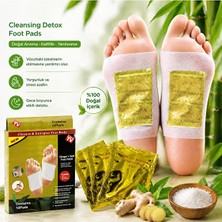 Dihamer Zencefil Detoks Ayak Bandı 10’lu Set – Doğal Içerikli Ayak Temizleme Pedi, Gece Boyu Etkili, Rahatlatıcı Foot Patch