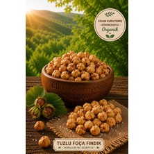 Cihan 500GR. Tuzlu Foça Fındık Içi