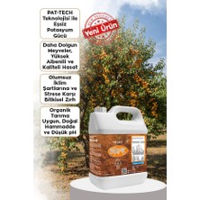 Ferment Tarım Ferment Big-K Pat-Tech Teknolojili Organik Potasyum & Süper Meyve Büyütücü Gübre 5 Lt