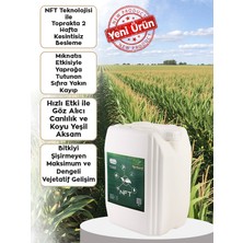 Ferment Tarım Ferment Nft Özel Azot Fiksasyon Teknolojili Sıvı Azot Gübresi - Yüksek Verimli Gelişim Düzenleyici 20 Lt