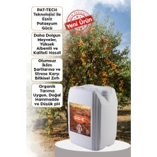 Ferment Tarım Ferment Big-K Pat-Tech Teknolojili Organik Potasyum & Süper Meyve Büyütücü Gübre 20 Lt