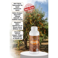 Ferment Tarım Big-K Pat-Tech Teknolojili Organik Potasyum & Süper Meyve Büyütücü Gübre 1 Lt