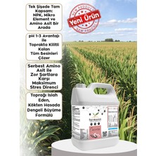 Ferment Tarım Ferment Cosmıx Hepsi Bir Arada Sıvı Gübre - Npk + Mikro Element + Amino Asit (Düşük Ph) 5 Lt